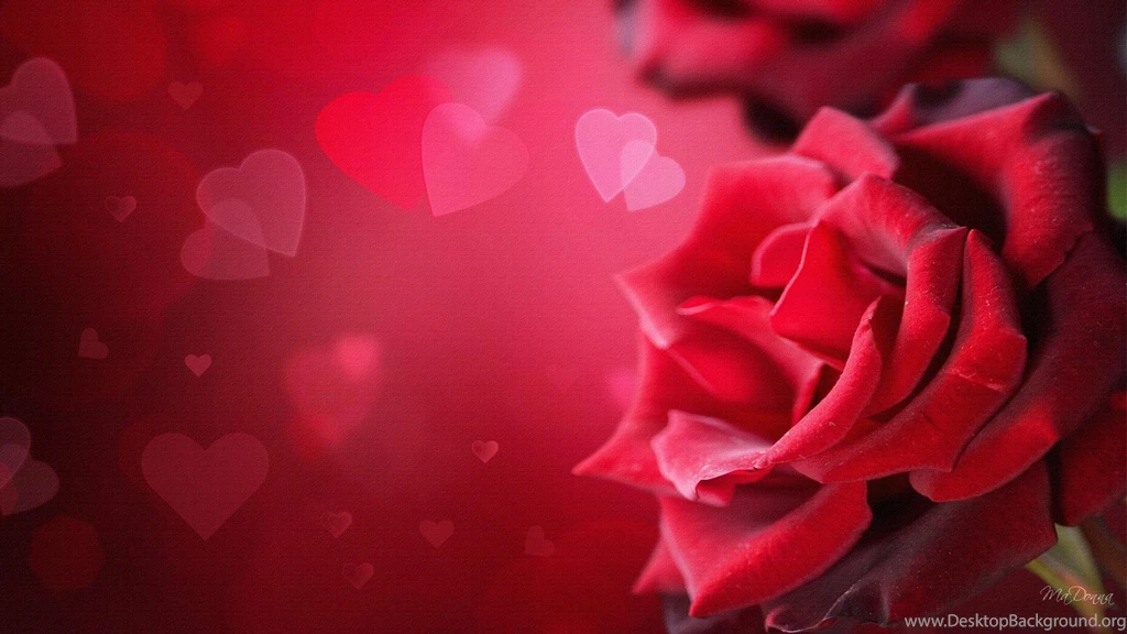 Of Roses Hearts >> HD Wallpaper, Get It Now!