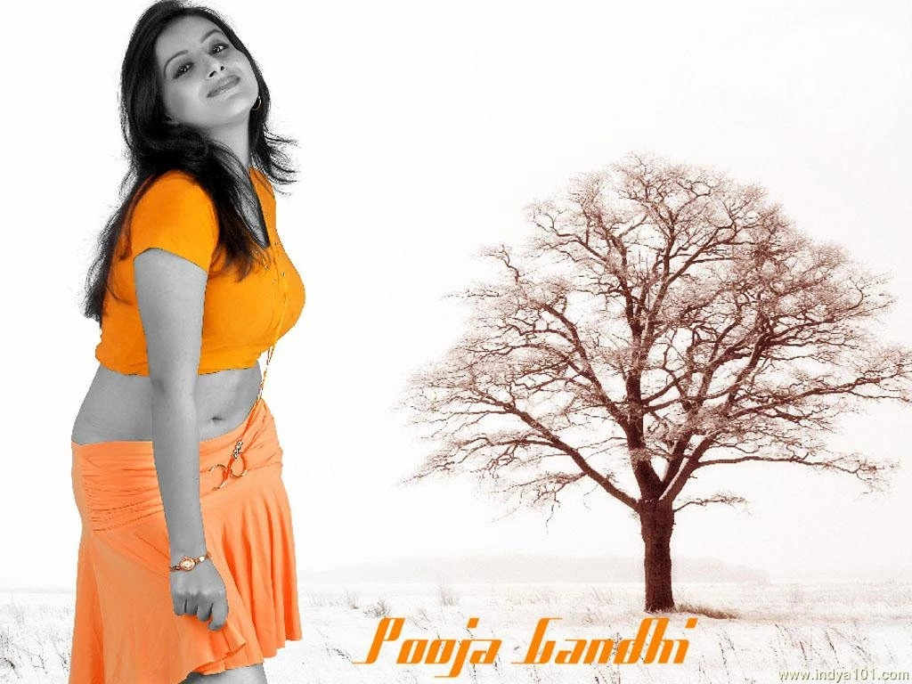 Pooja Gandhi Wallpapers (1024x768) : Indya101.com