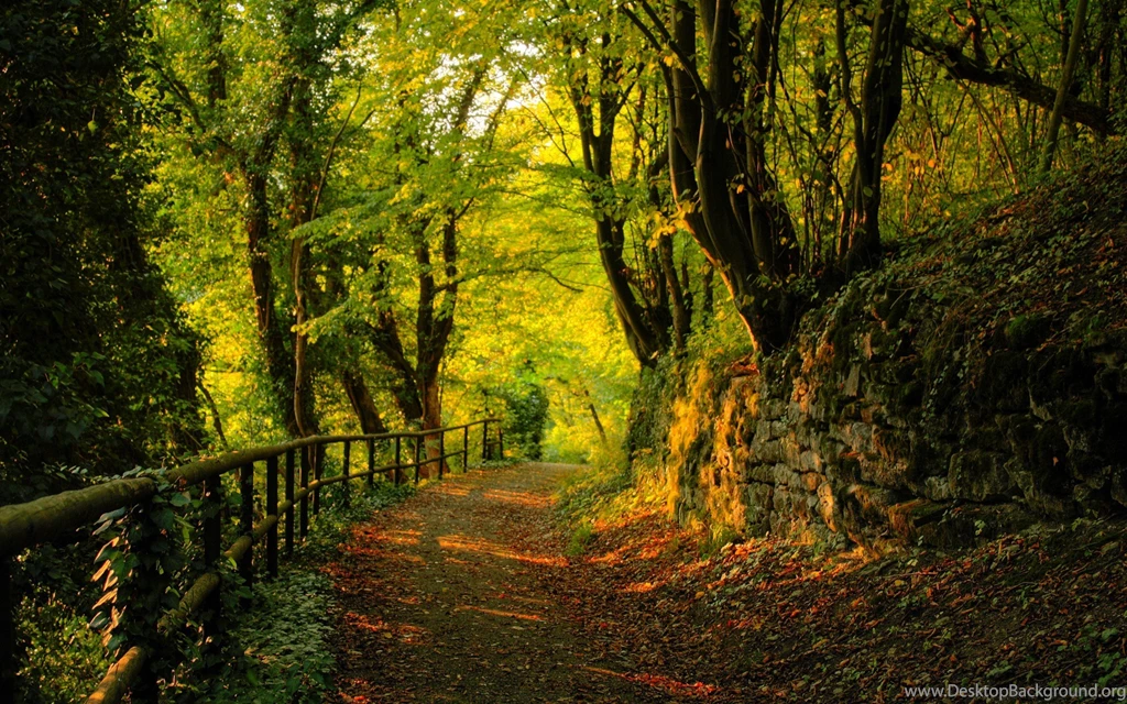 Fonds D'écran Rabiosa : Tous Les Wallpapers Rabiosa