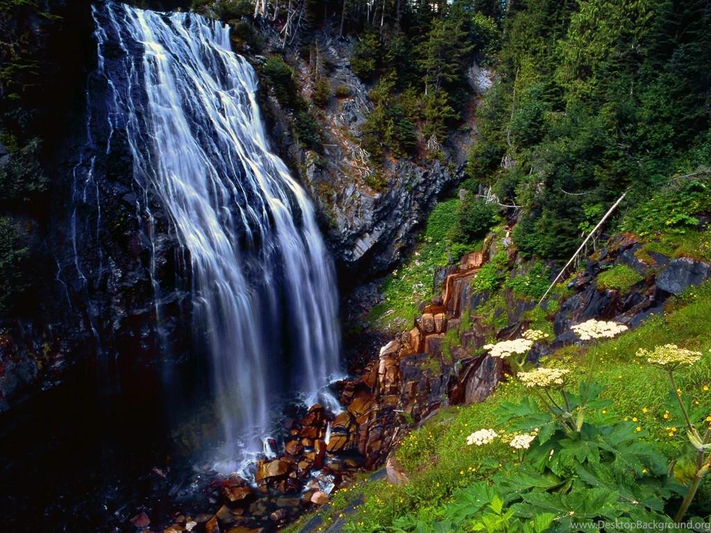Download Wild Waterfall Picture Wallpapers HD