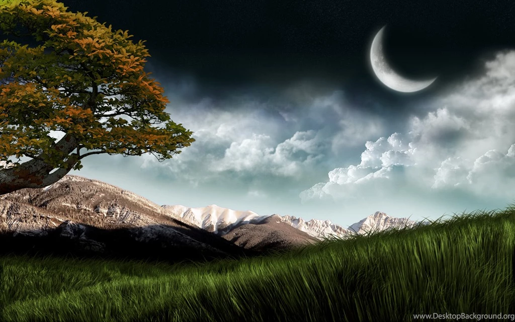 3d Nature Wallpapers
