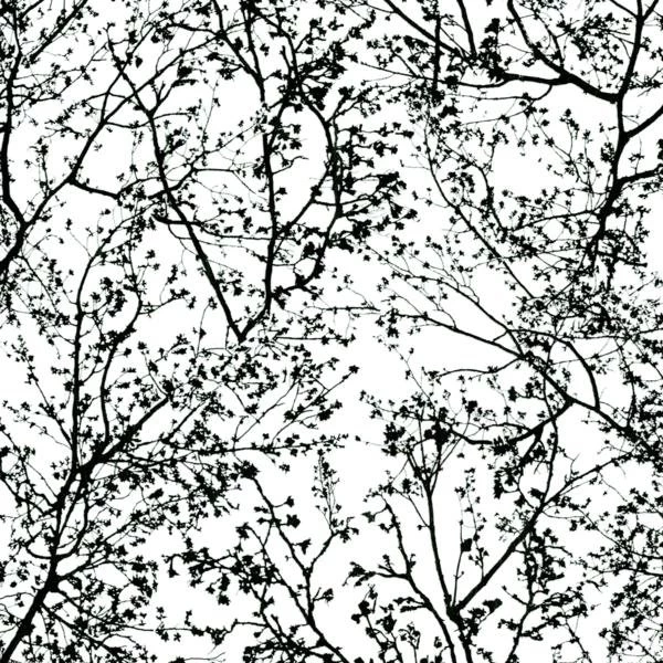 P&S International Graphic Black/White Paste The Wall Wallpapers ...