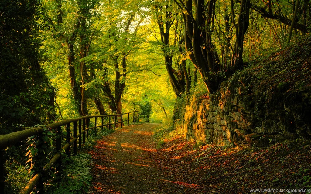 Irish Wallpapers