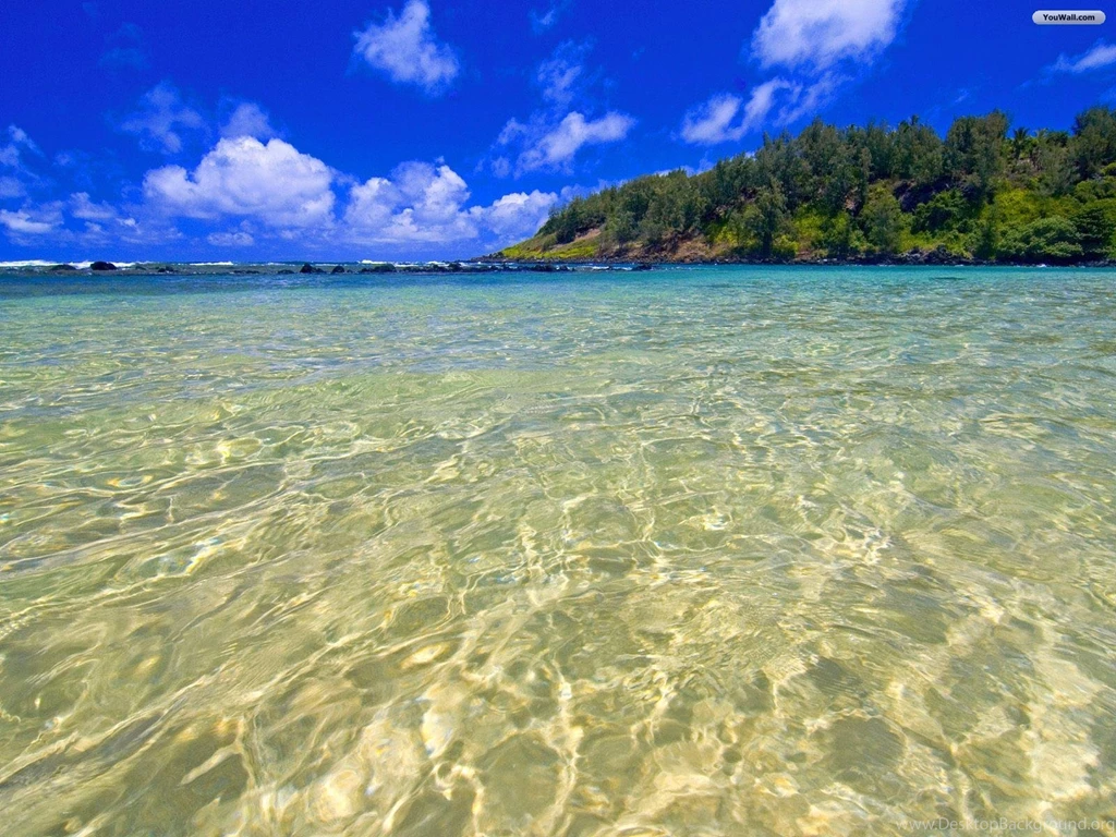 YouWall Clean Water Wallpapers Wallpaper,wallpapers,free ...