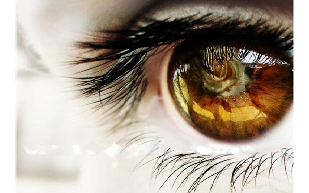 Beautiful Girl Eye Closeup Photography HD Images 1440x900 Free ...