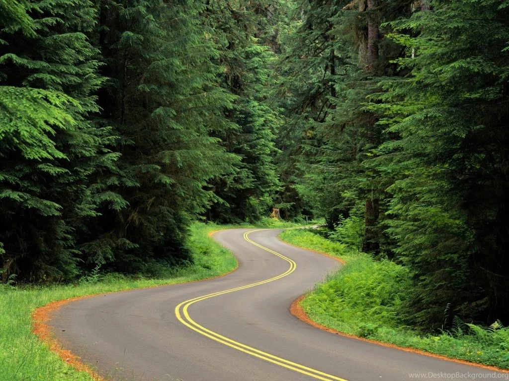 1024x768 Winding Road Desktop PC And Mac Wallpapers