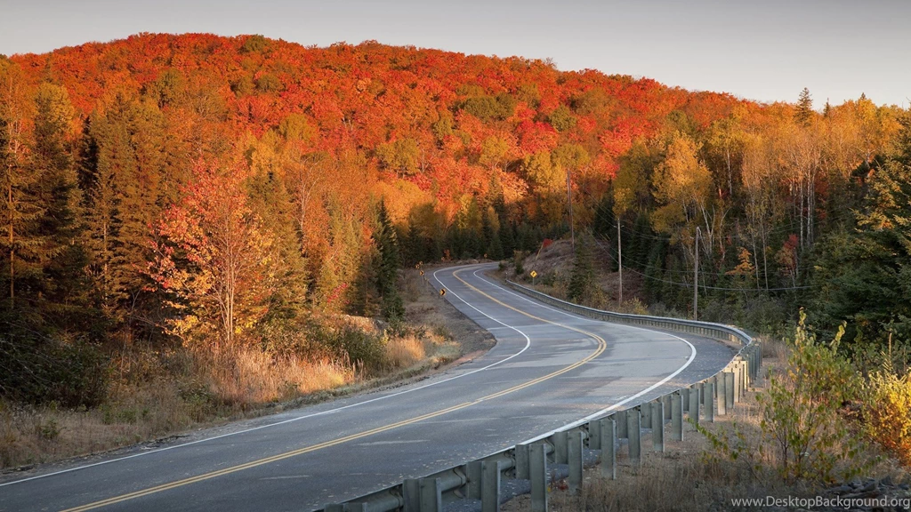 A Winding Road Through The Autumn Forest Wallpapers And Images ...
