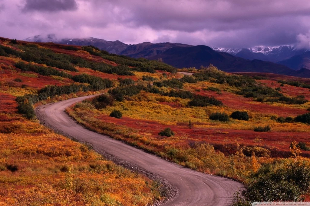 Winding Road HD Desktop Wallpapers : Widescreen : High Definition ...