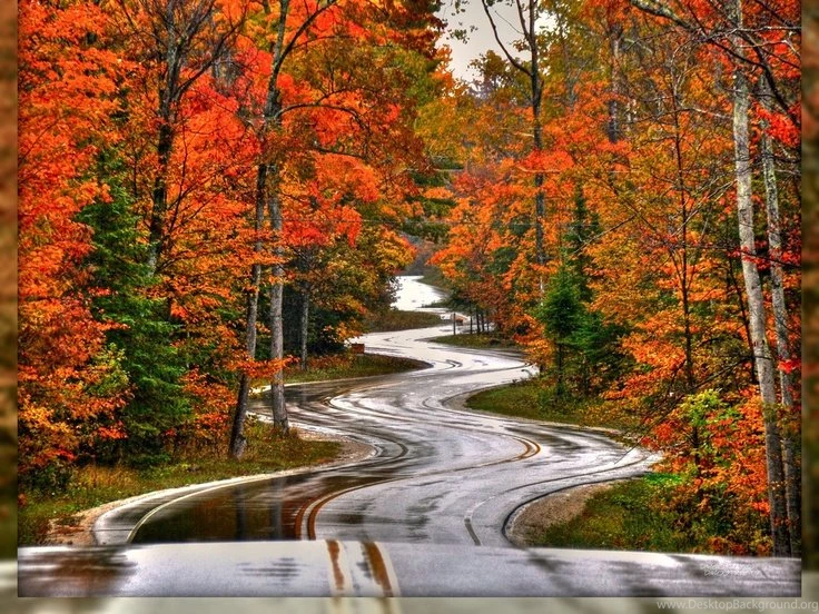 After The Rain