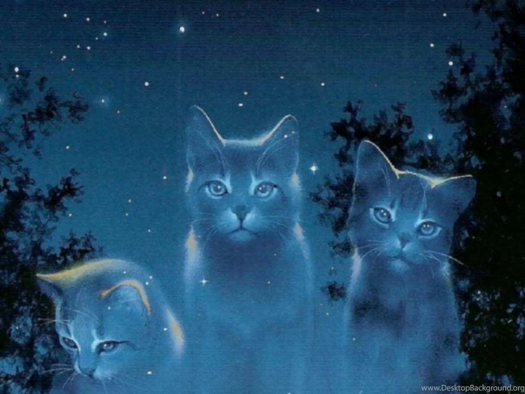 Download Free 100 Cute And Sweet Cat Wallpapers The Quotes Land