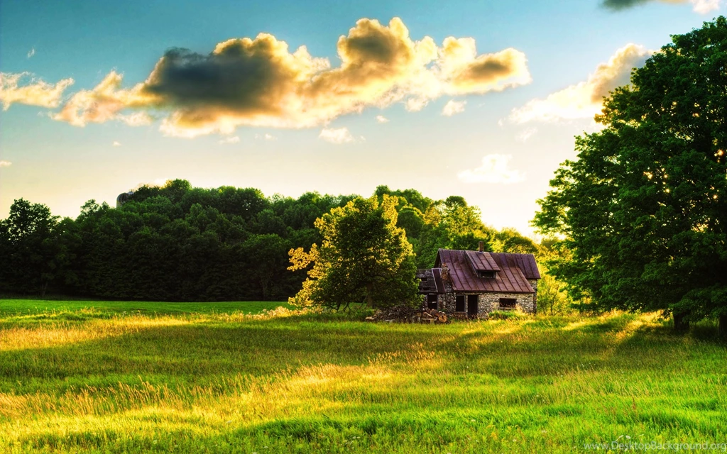 Home Wallpapers