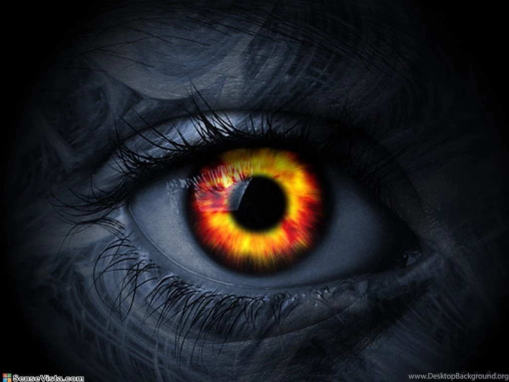 Amazing Pics