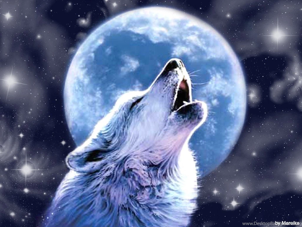 Wolf Pictures