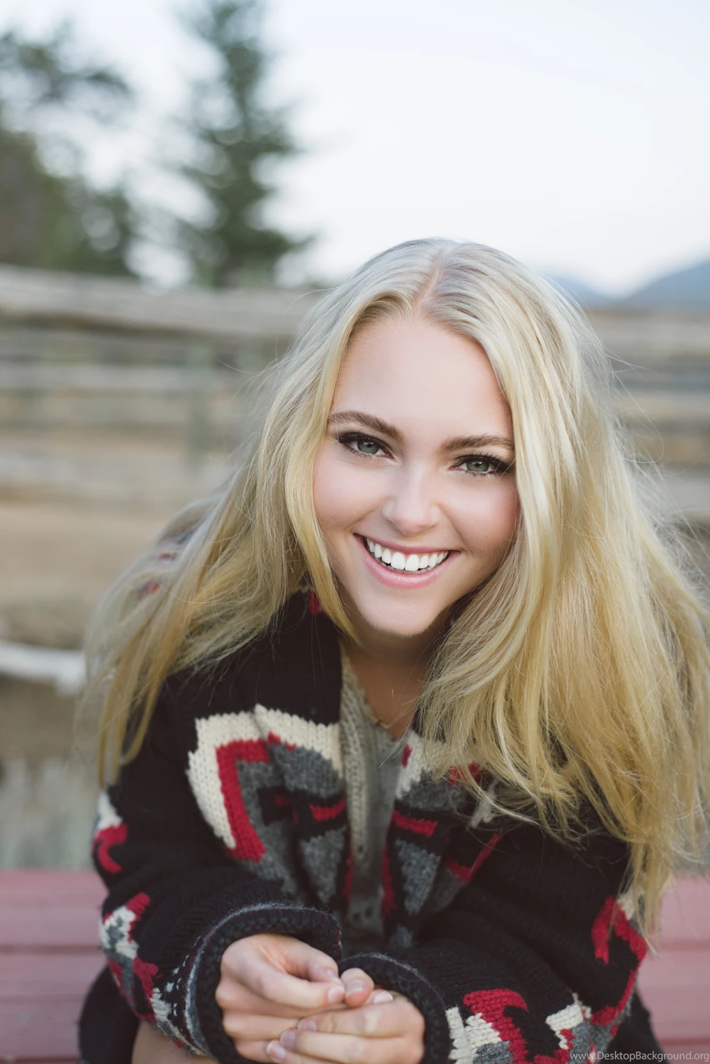 HD Annasophia Robb Wallpapers And Photos