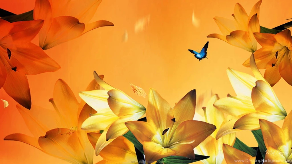 60+ Beautiful Pictures Of Colorful Lily