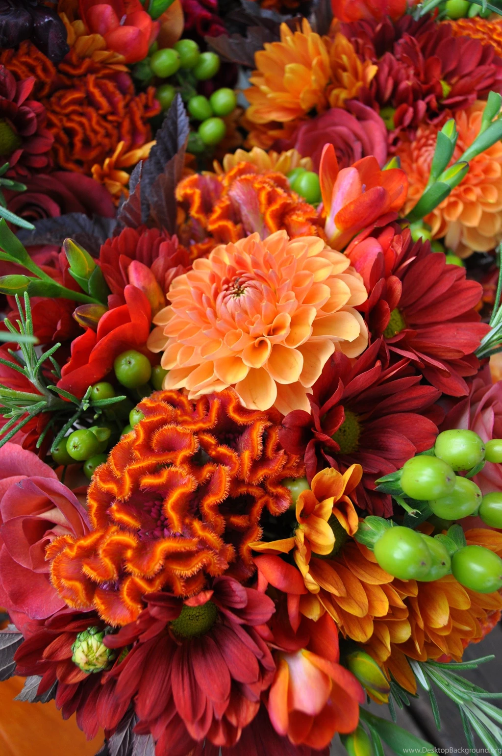 425x303px Fall Flowers Adorable Pictures For Free 49.75 KB