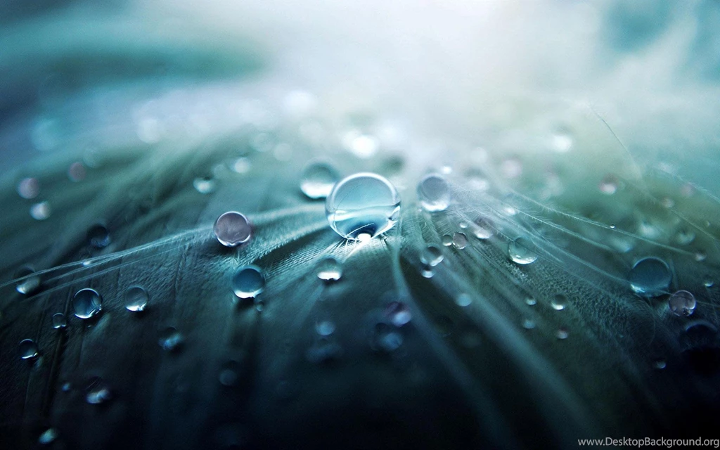 Artificial Wallpapers