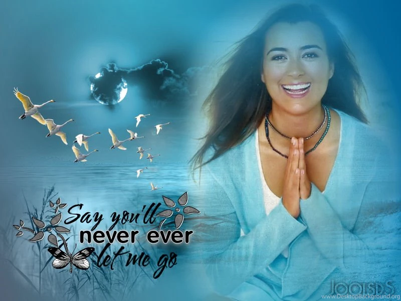 Cote De Pablo By JoolsdS On DeviantArt