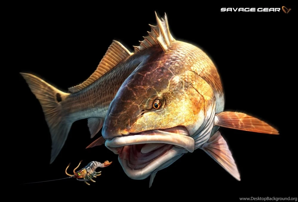Stephonthekob Cross connect: Tommy Kinnerup Concept Art Art...