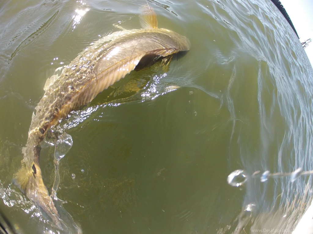 Tips & News   BigWater Adventures