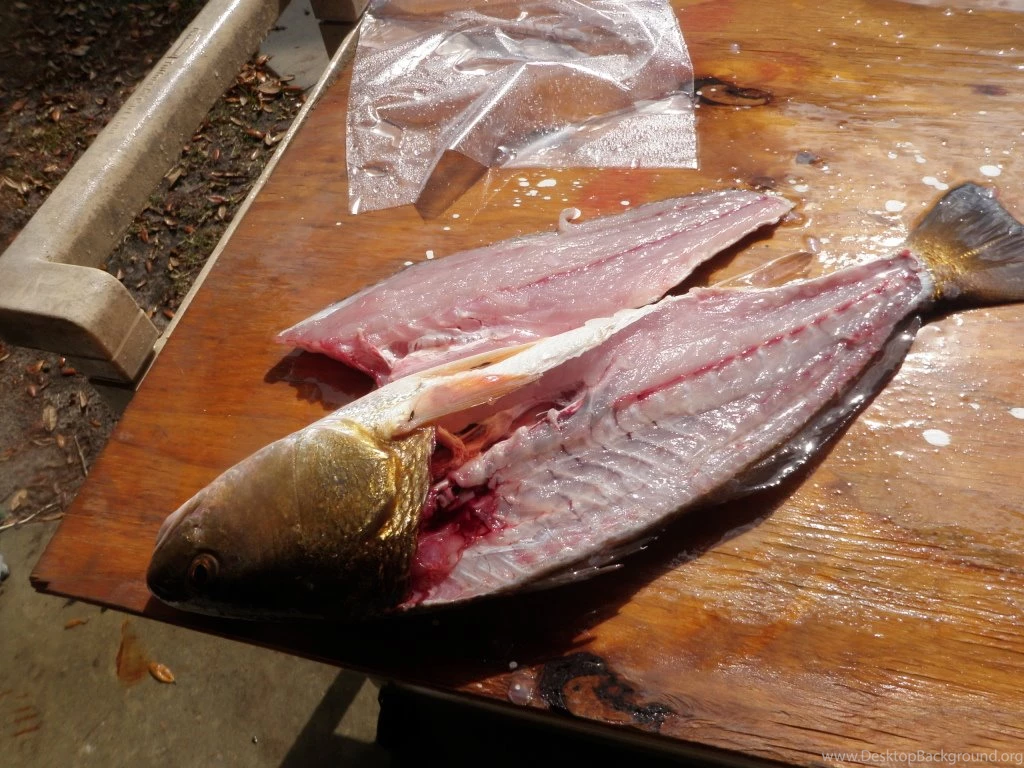 Pan Fried Redfish............................