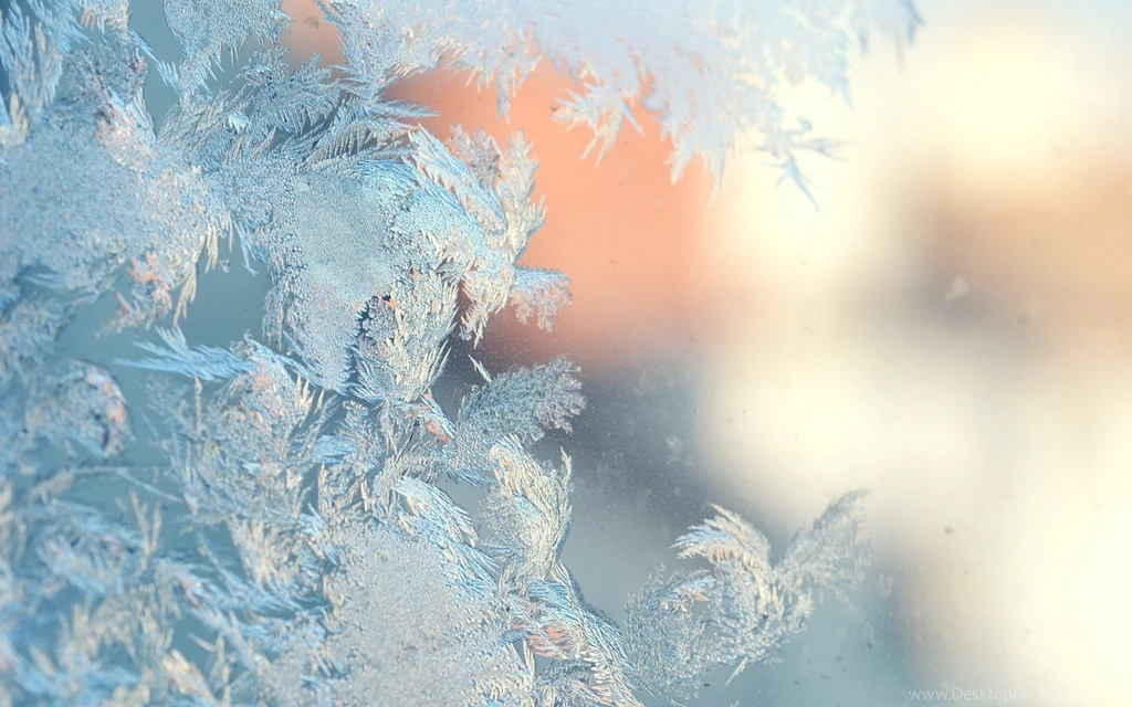 Frost Patterns On Glass Wallpaper.