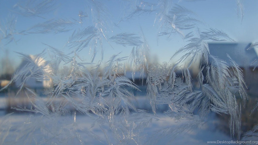 Frosted Glass Frost Wallpapers