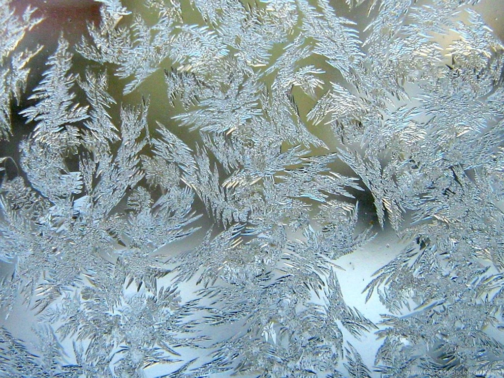 Window Frost Wallpaper.