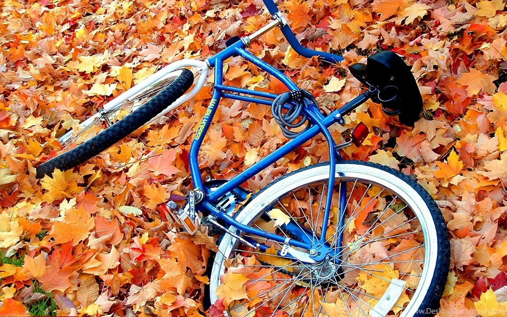 The Nostalgic Memory Bicycles Aesthetic Photography Wallpapers 7 ...