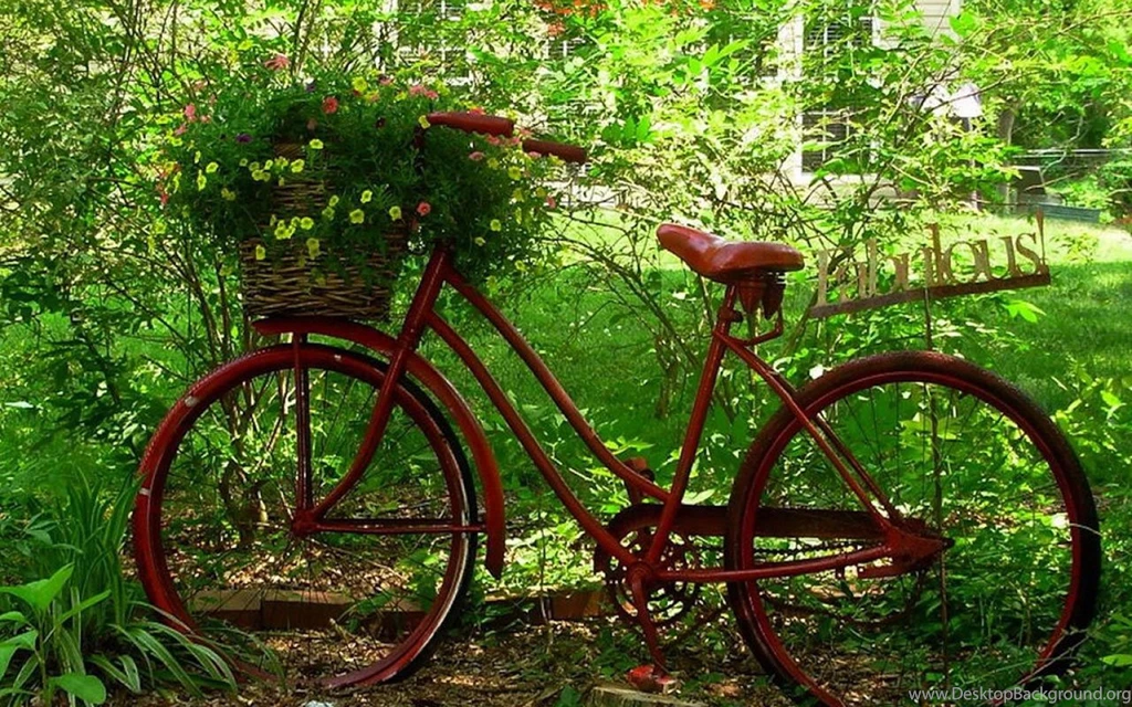 The Nostalgic Memory Bicycles Aesthetic Photography Wallpapers 5 ...