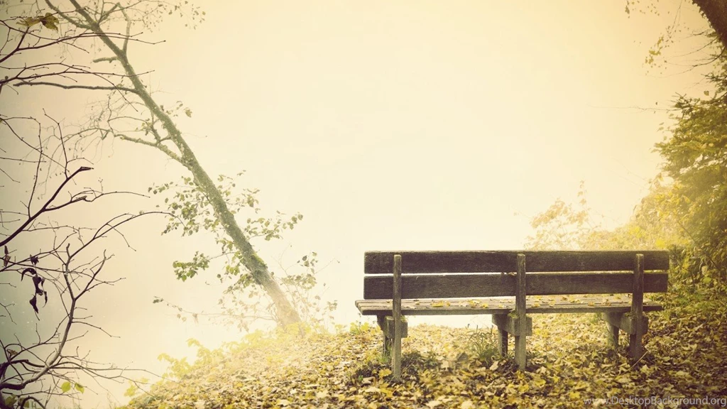 Fog,fall,mood,nostalgic AQUOS PHONE Xx 203SH,Lenovo Mobile Phone ...