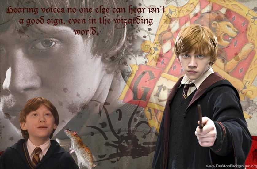 Ron Weasley Wallpapers By Kittykorner On DeviantArt