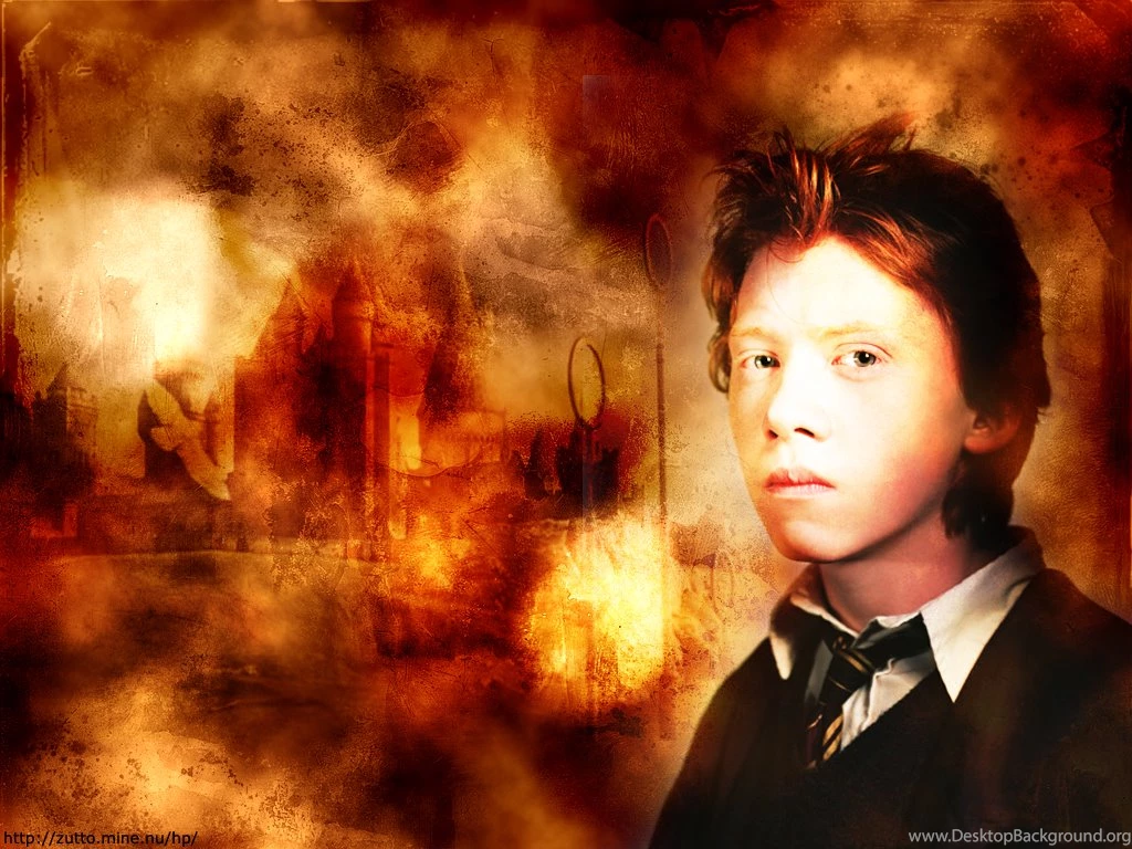 Ron Weasley Harry Potter Wallpapers (213594) Fanpop