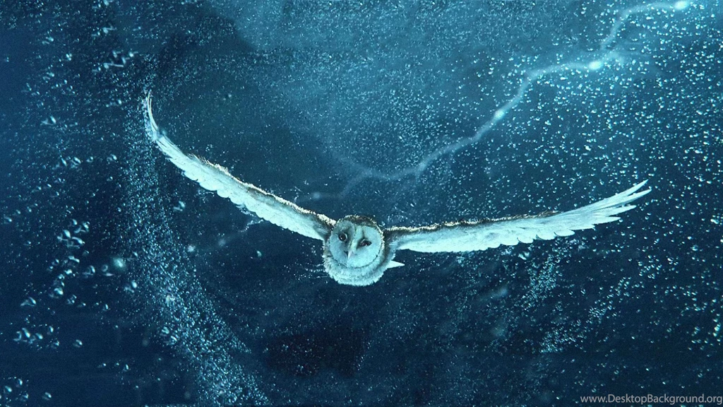 Legend Of The Guardians A The Owls Of Ga'Hoole Wallpapers