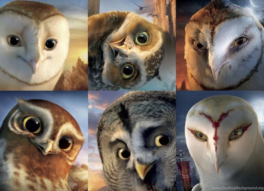 Guardians Of Gahoole On Thebeastofliterature   DeviantArt