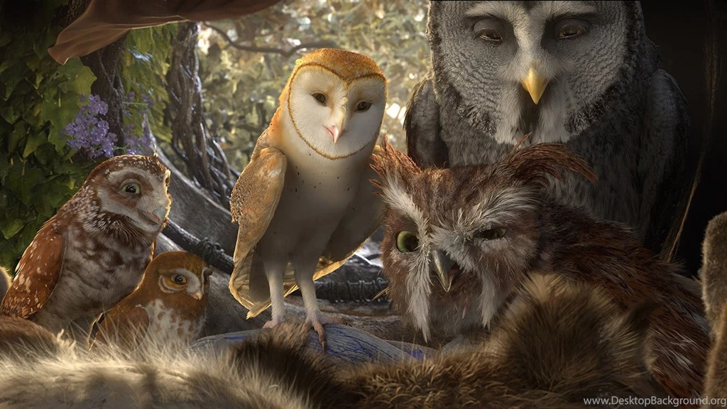 Legend Of The Guardians: The Owls Of Ga'Hoole (2)