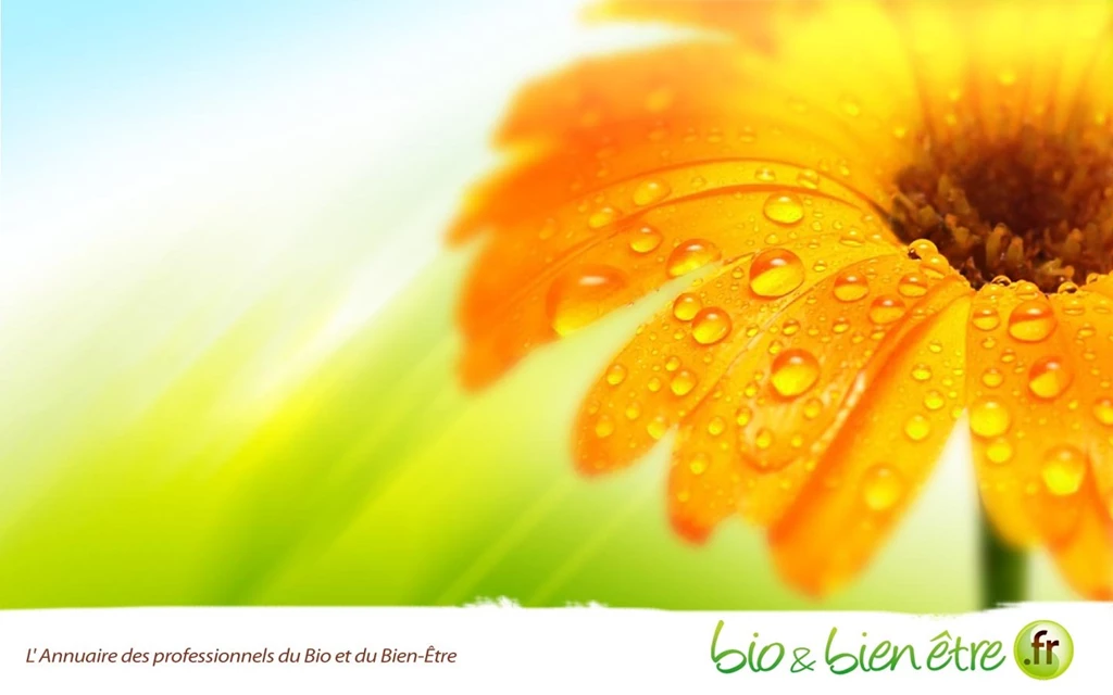 Wallpapers « Bio & Bien être.fr » « Graphiste