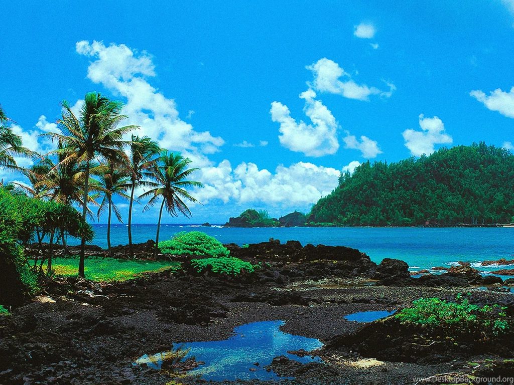 Wallpapers