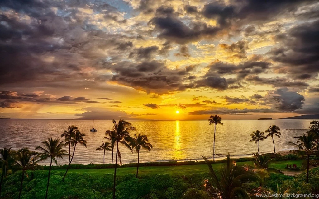 Nature, Landscape, Island, Sunset, Beach, Palm Trees, Sea, Sky ...
