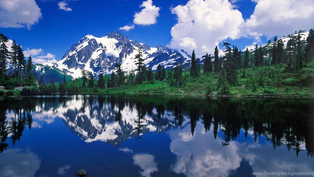 Wallpapers Discovery Discoveries Images Mousesb Nature Naturewide ...