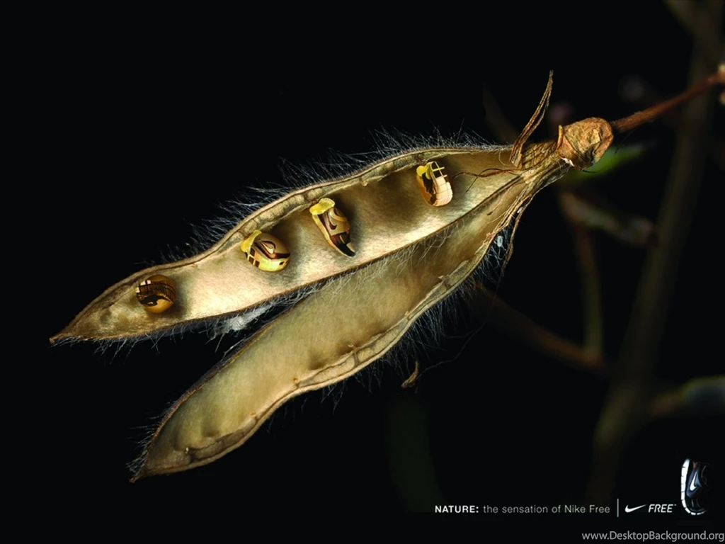 Desktop Wallpaper: Ringtones And Wallpapers