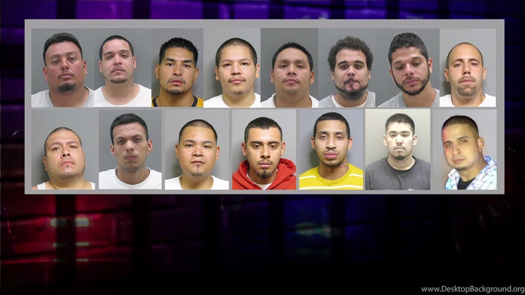 Gang Related Crime Drops Following Holland Latin Kings Bust