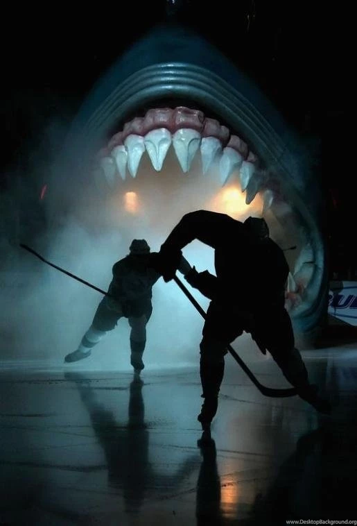 San Jose Sharks On Pinterest