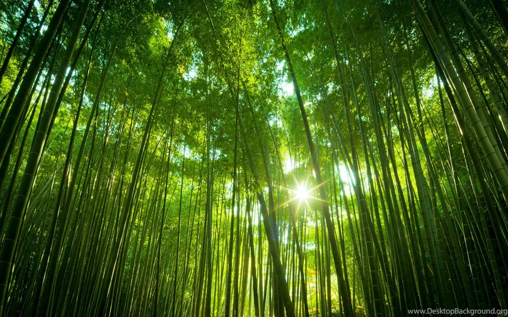 Nature HD Wallpapers Kemecer.com