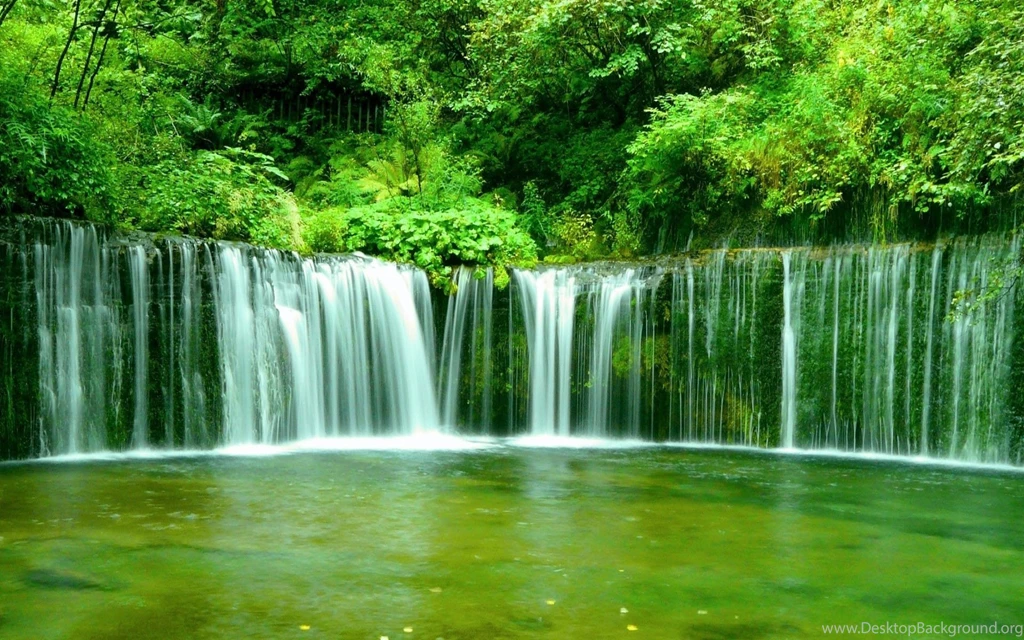 Green Forest Waterfall