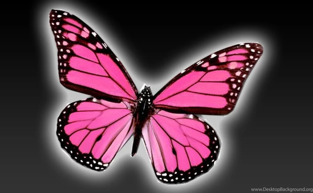 Pink Butterfly Backgrounds   Wallpapers Cave