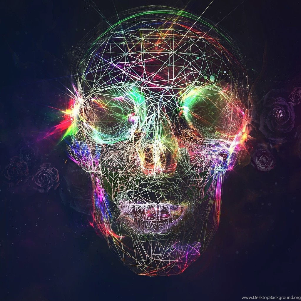 Skull Roses Artist Wallpapers