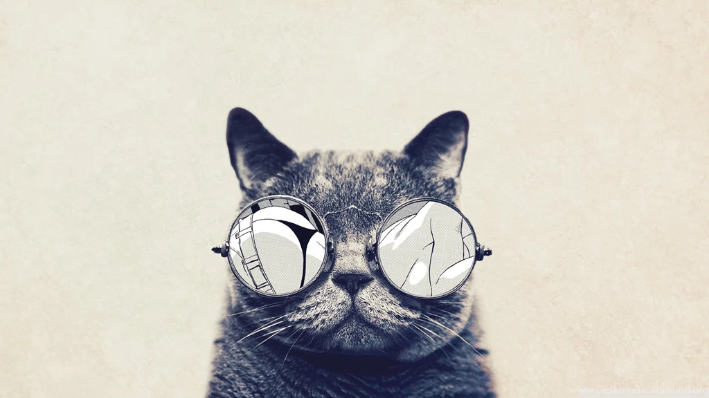 Cat HD Desktop Wallpapers : Widescreen : High Definition ...