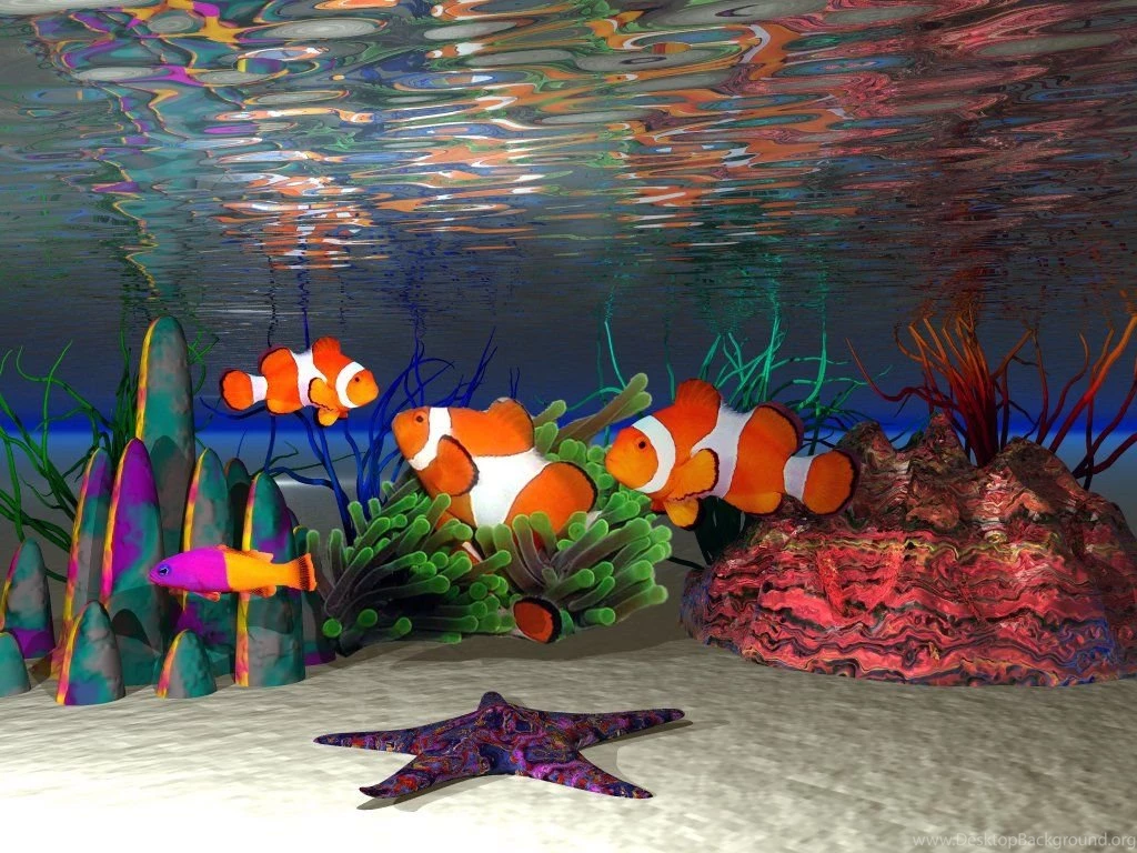 Wallpapers Fish