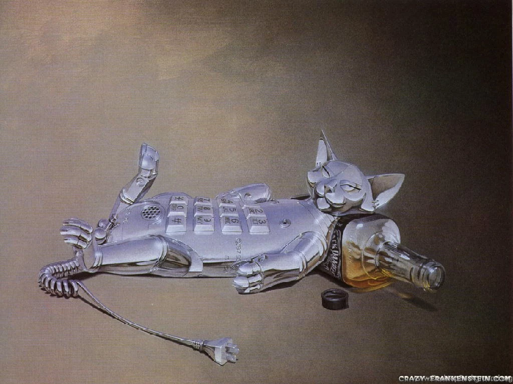 Funny Miscellaneous Wallpapers   Crazy Frankenstein